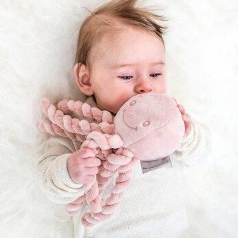 Kuscheltier Oktopus Lapidou