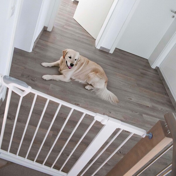 Produktvorschaubild 3