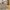 Kinderteppich Super Soft Hochflor Silky Kids