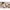 3er-Pack Bodys langarm Tiny Forest