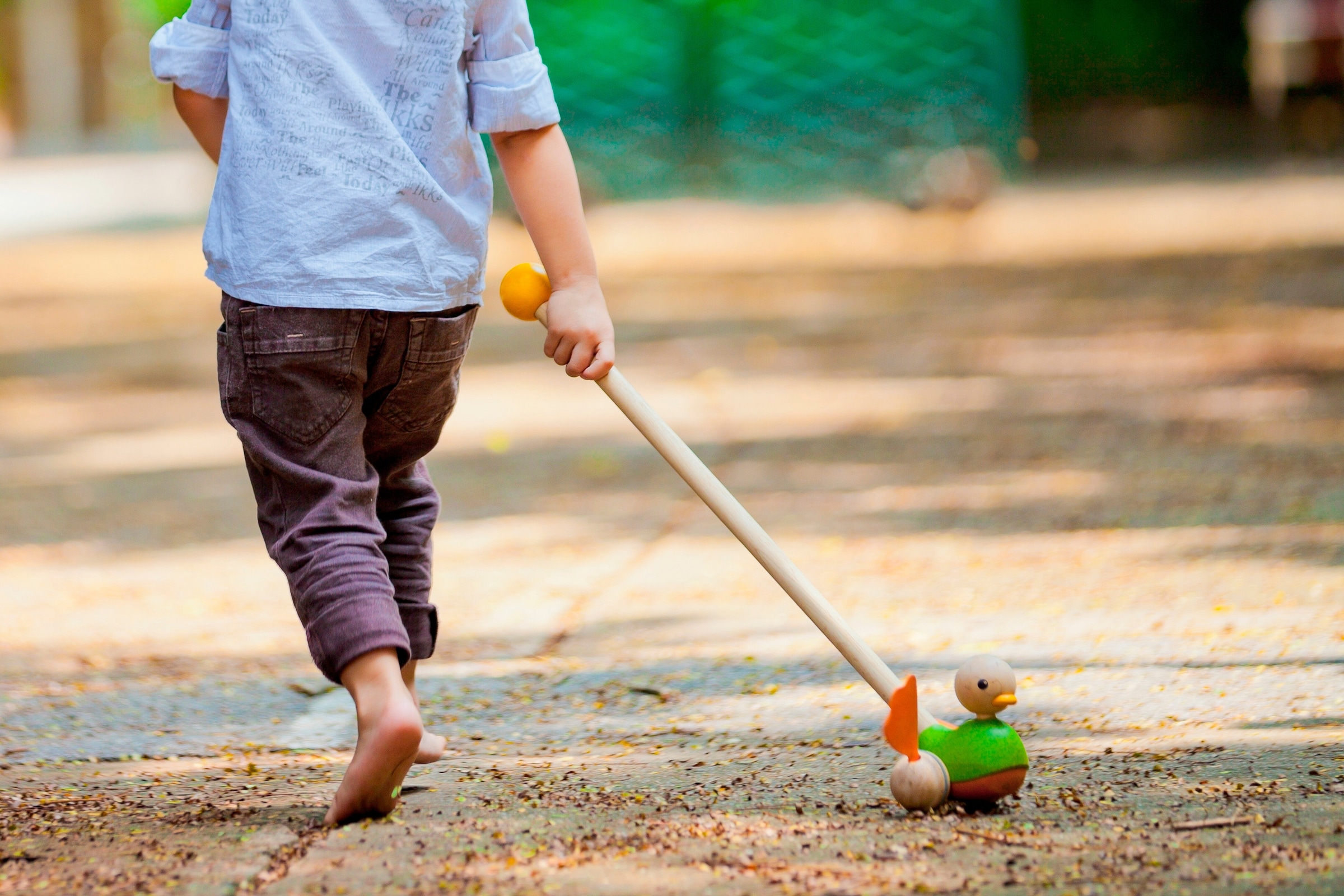 Plantoys Schiebeente