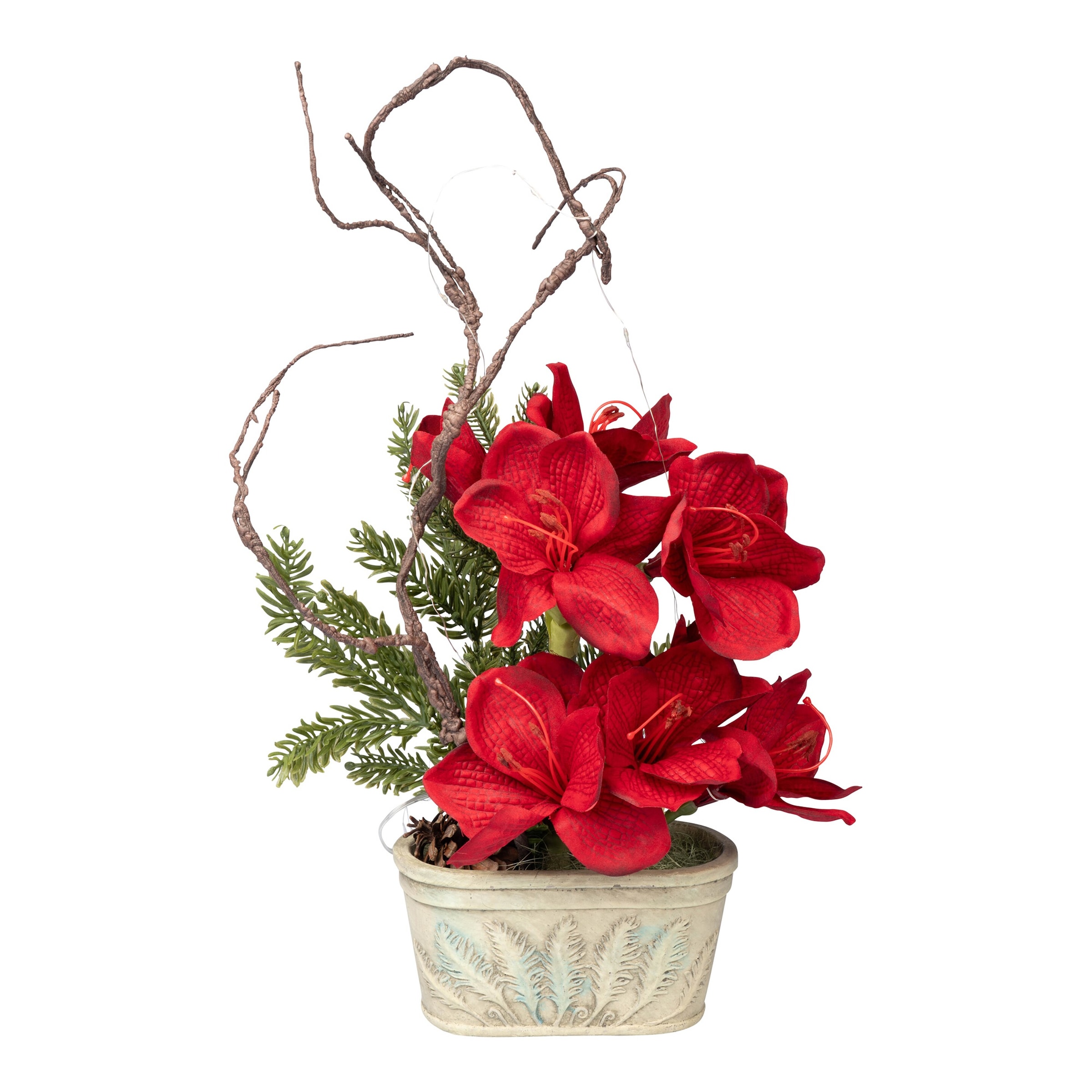 Image of Arrangement „Amaryllis“