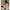 Bundle Badewanne inkl. Badewannensitz Newborn Support