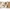 5er-Pack Bodys langarm Tiny Forest