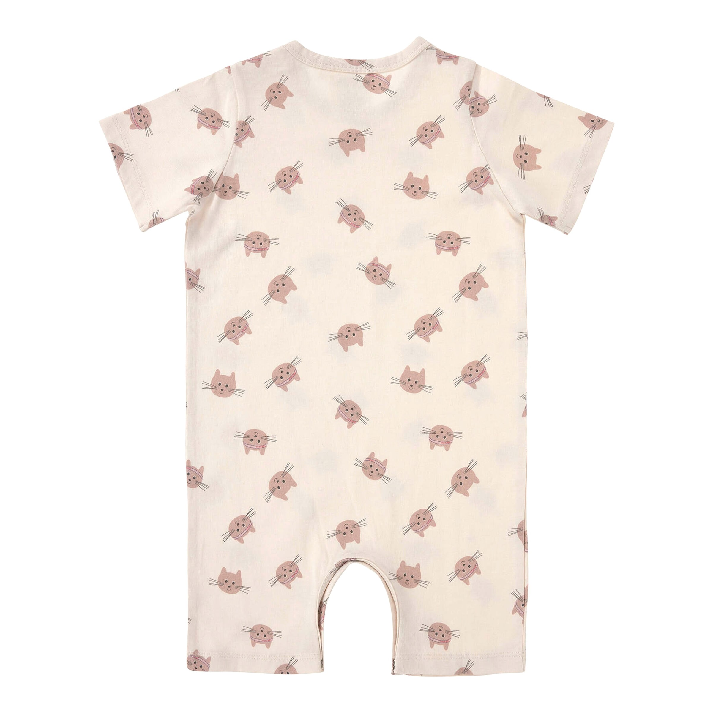 Lässig Spieler Katzen Little Gang