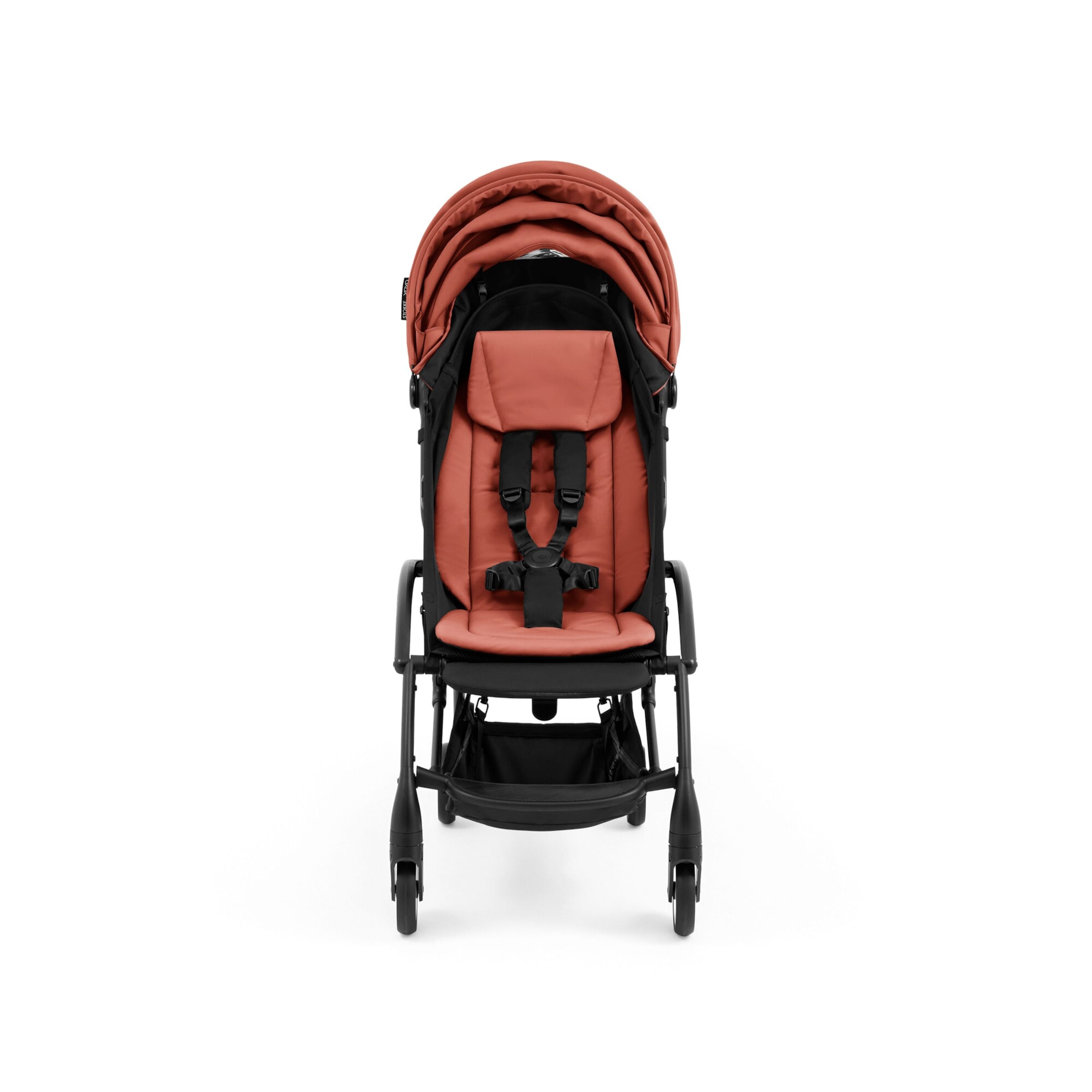 Buggy