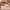 Kinder Teppich Maui Kids Baustelle