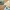 Geometrisches Puzzle aus Holz - ab 12 Monate