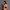 Umstands- und Still-Bustier Seamless
