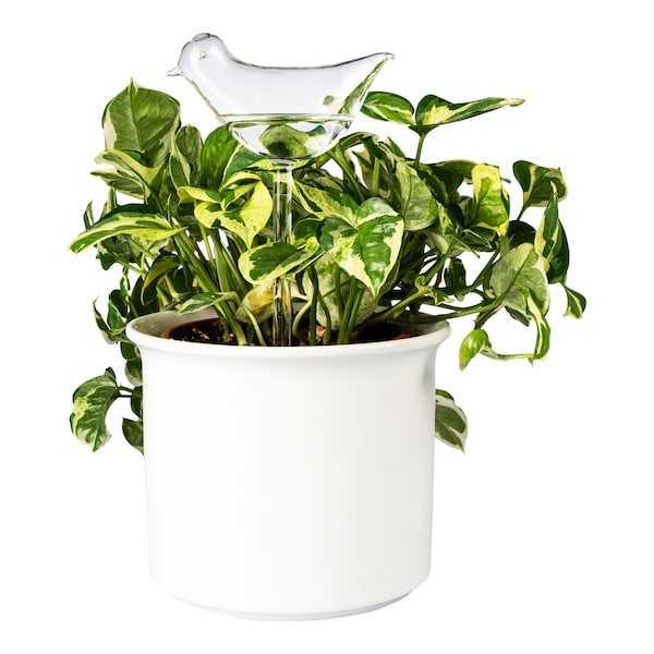 Aperçu du produit 2