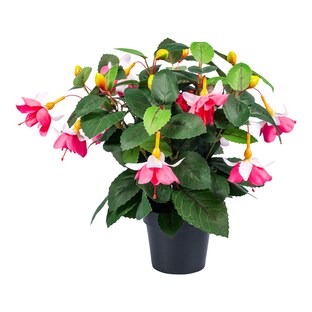 Fuchsia déco, rose vif