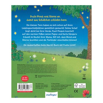 Mein Puste-Licht-Buch - Ein Sternlein wacht in dunkler Nacht