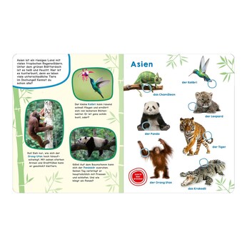 Soundbilderbuch Tiere der Welt 