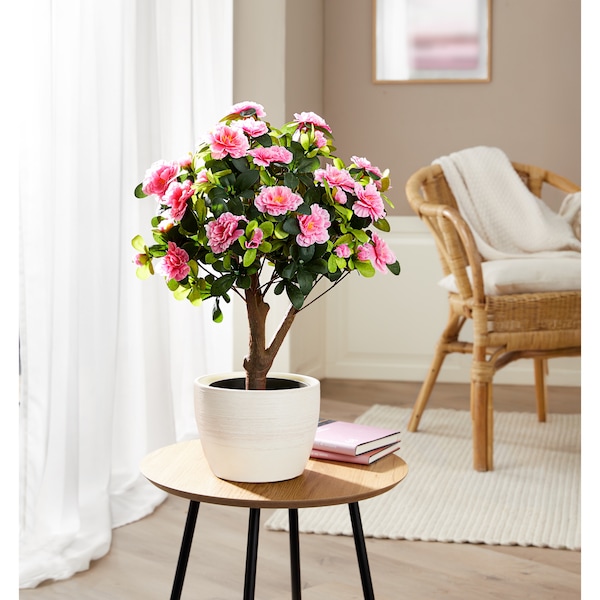 Produktvorschaubild 2