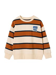 Sweatshirt mit Streifen und Skater-Aufnäher Jungen