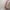 2er-Pack Stilleinlagen aus Merinowolle und Naturseide, 2-lagig, waschbar