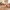 Kinder Teppich Softstar Kids Fantasy Bunt