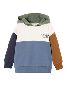 Jungen Kapuzensweatshirt im Colorblock-Style Basics mit Recycling-Polyester