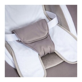 Babywippe Alpha Bouncer 2in1 Deluxe
