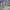 Citybike Sydney 20 Zoll / 24 Zoll