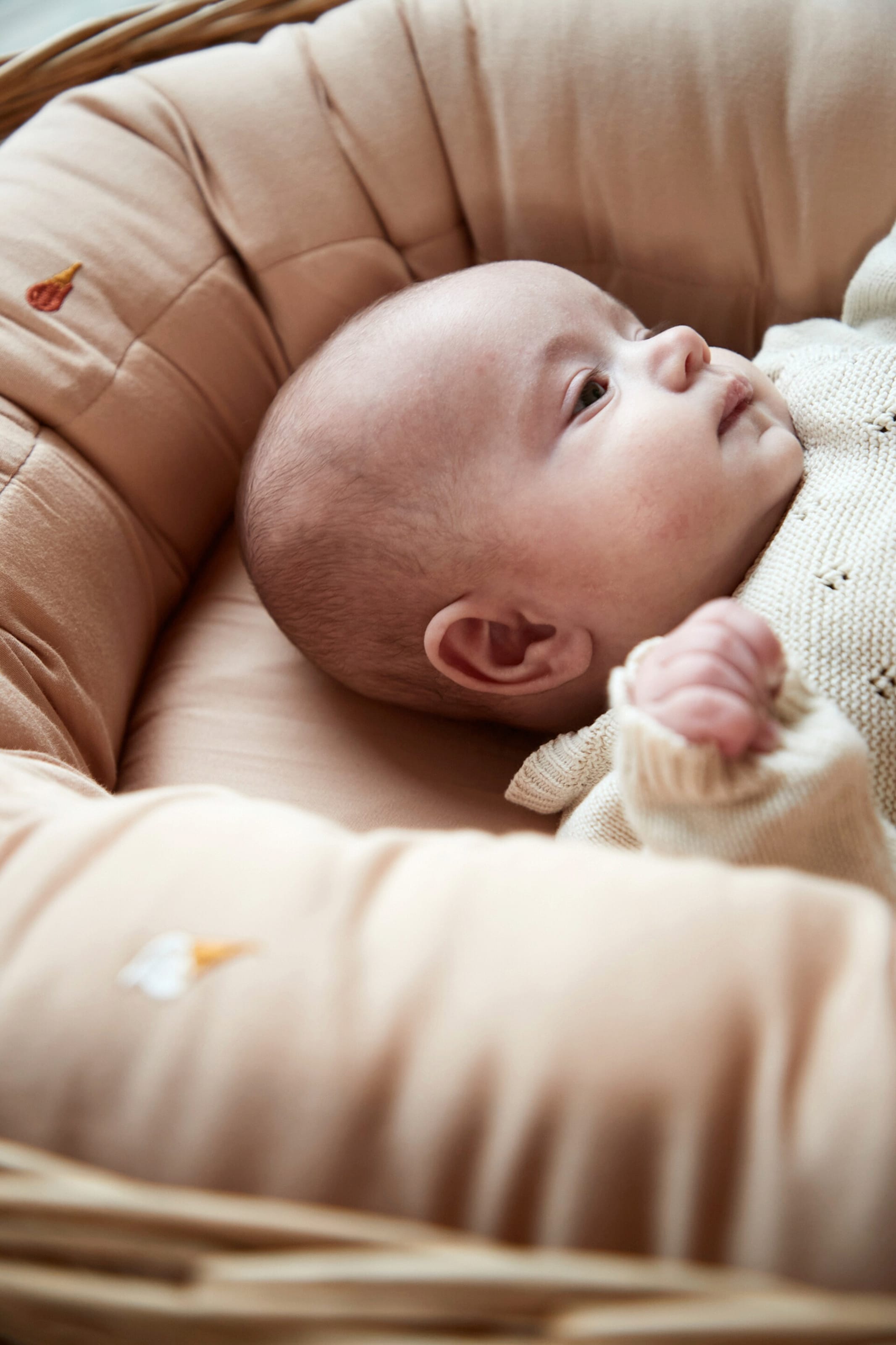 Filibabba Babynest 2. Generation – Cool Summer Stickerei – Frappé
