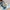 Spielbogen mit 3-D-Activity-Decke Little Castle