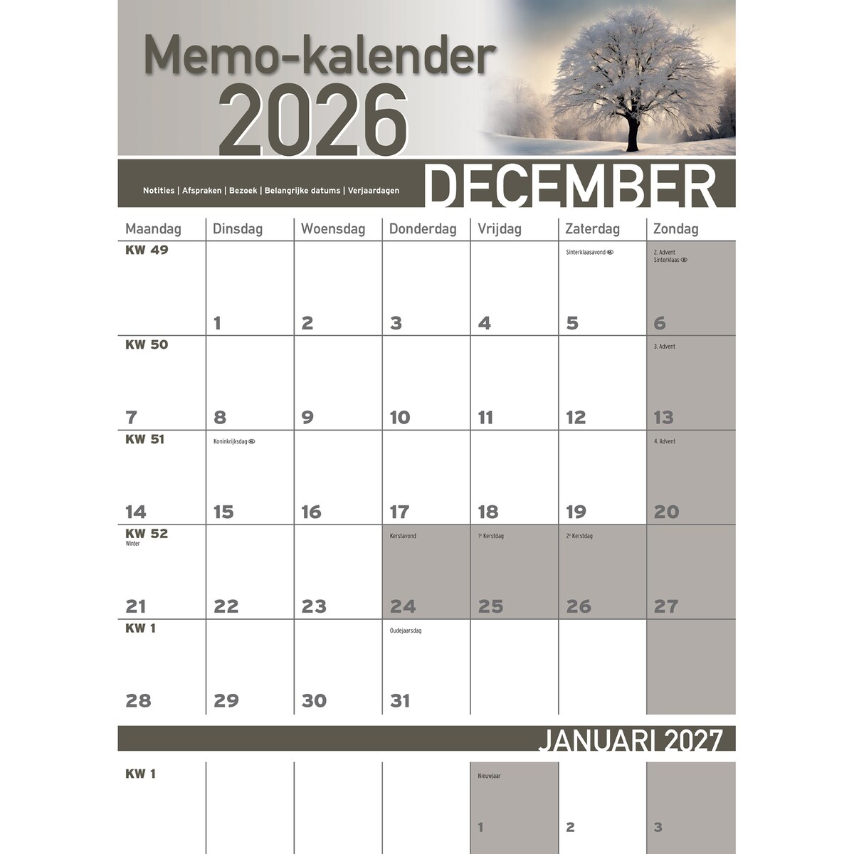 Productafbeelding 12