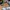 77258 F1 ACADEMY™ LEGO® Rennwagen
