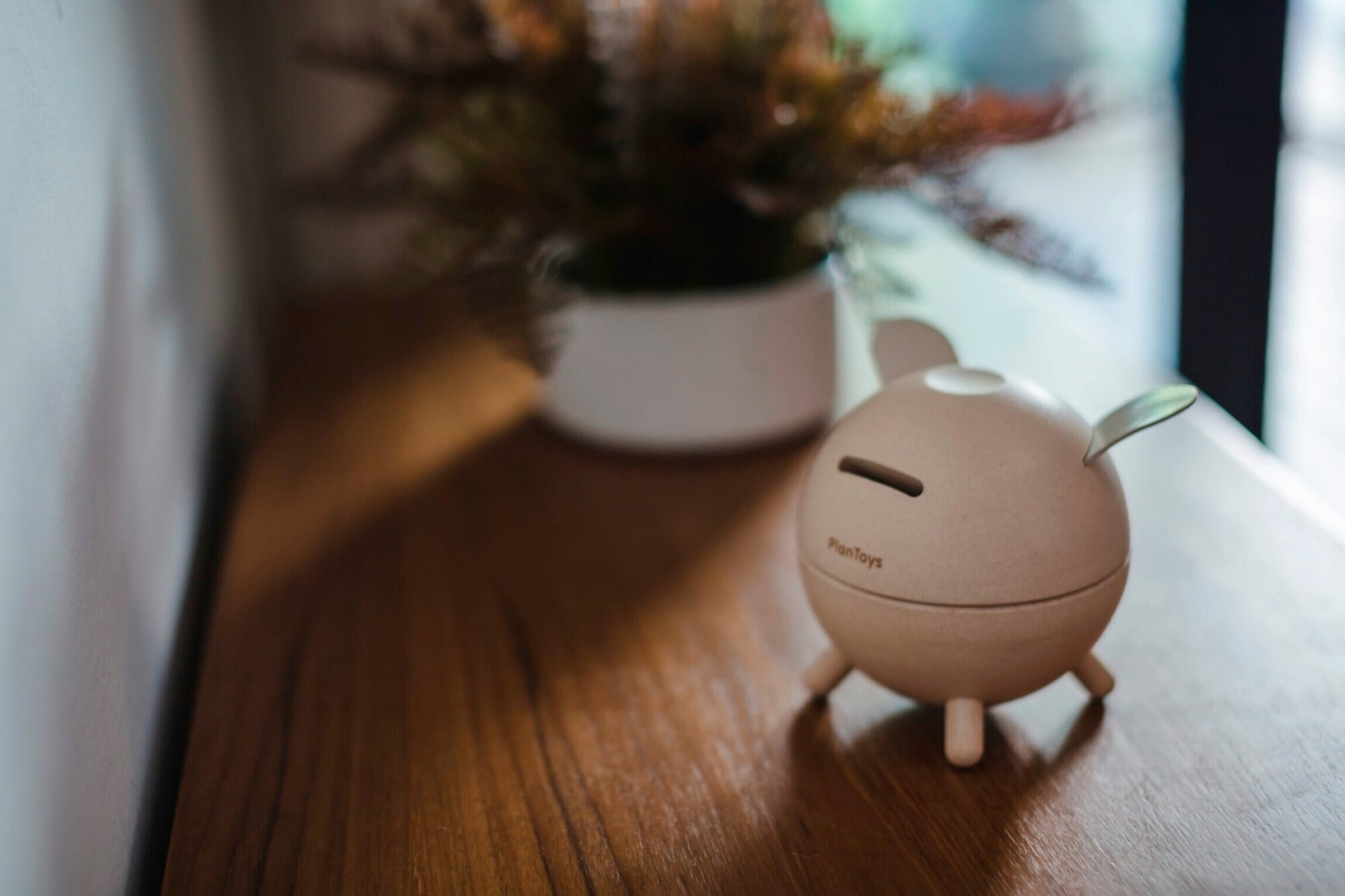 Plantoys Sparschwein natur