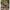 Henley-Shirt langarm Wolle/Seide