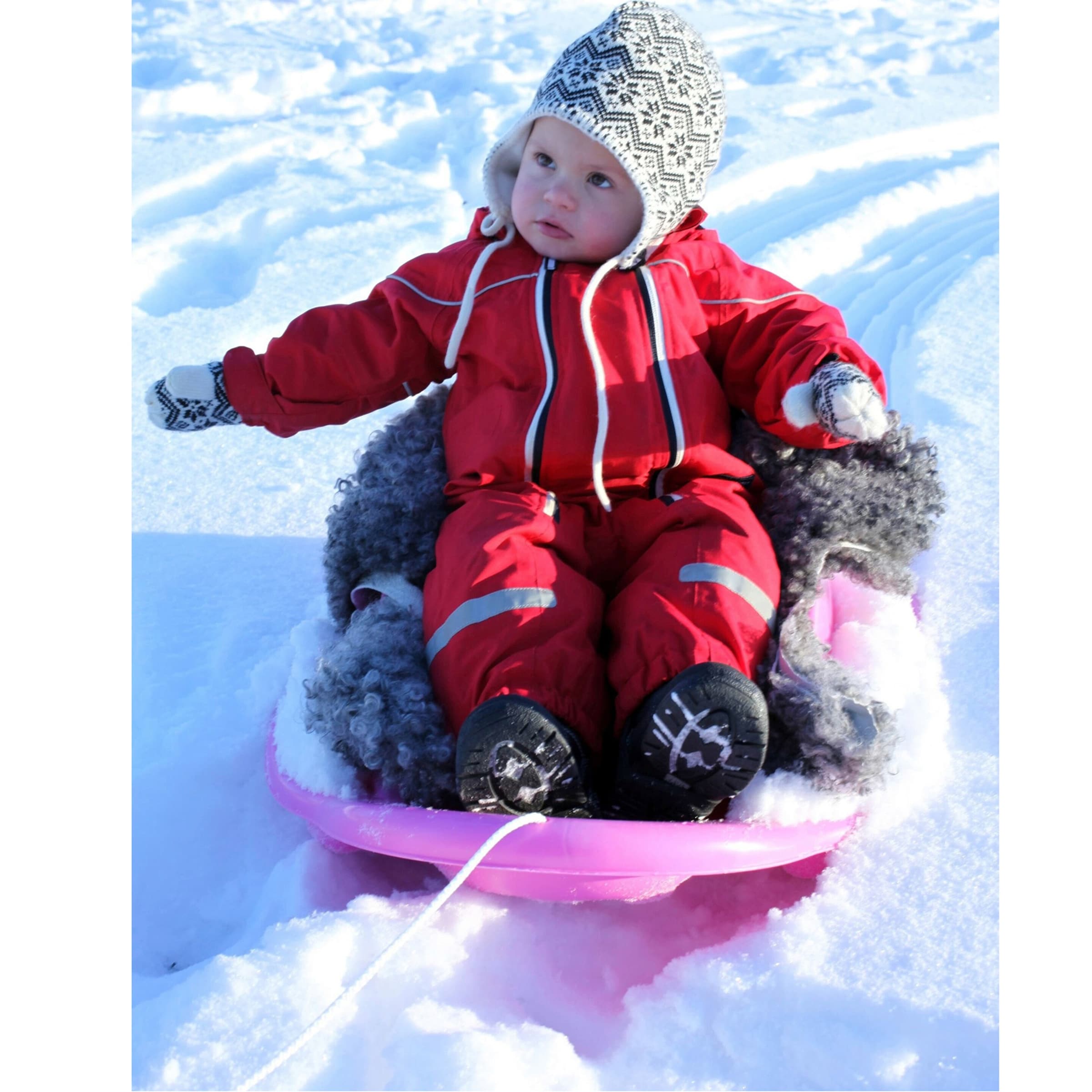 Schlitten Baby Cruiser