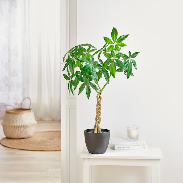 Productvoorbeeld 2