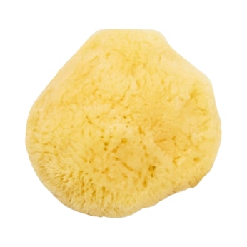 Éponge naturelle