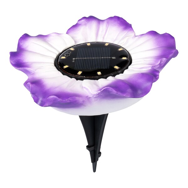 violet