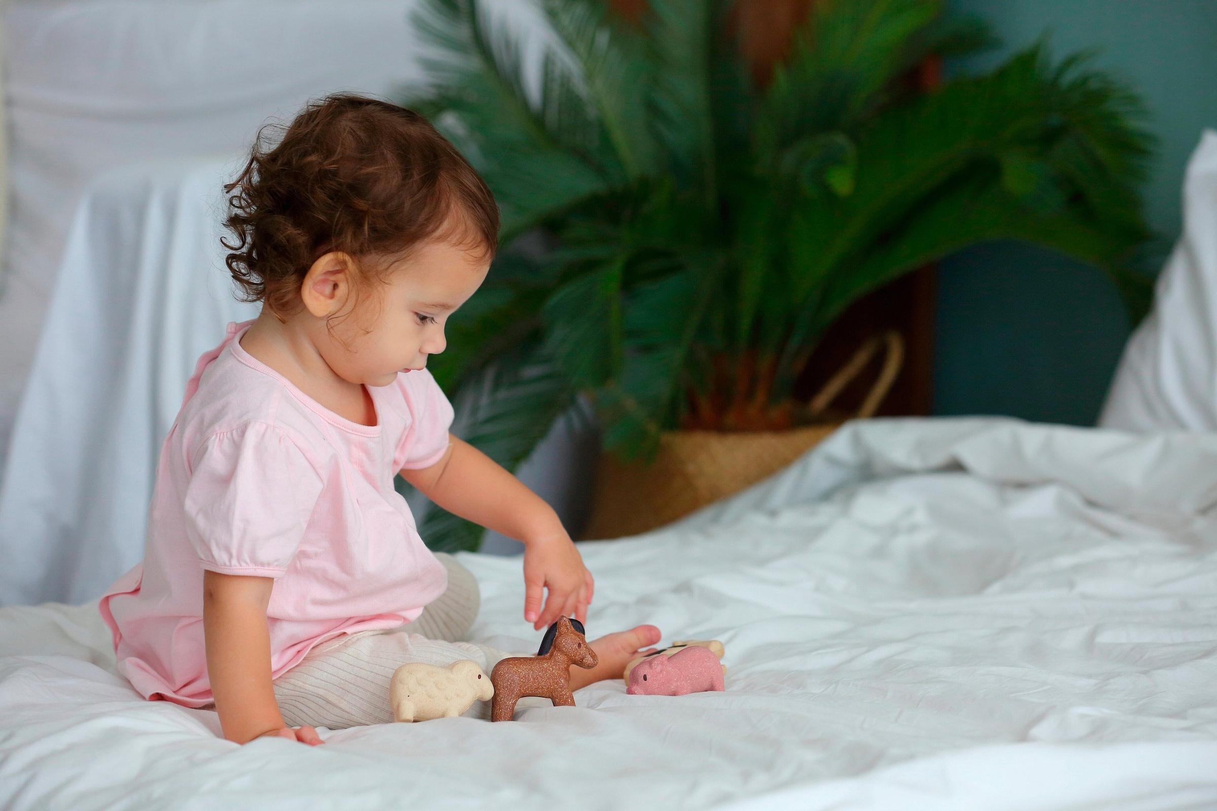 Plantoys Nutztier-Set