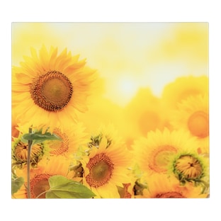 ﻿Motivplatte „Sonnenblume“