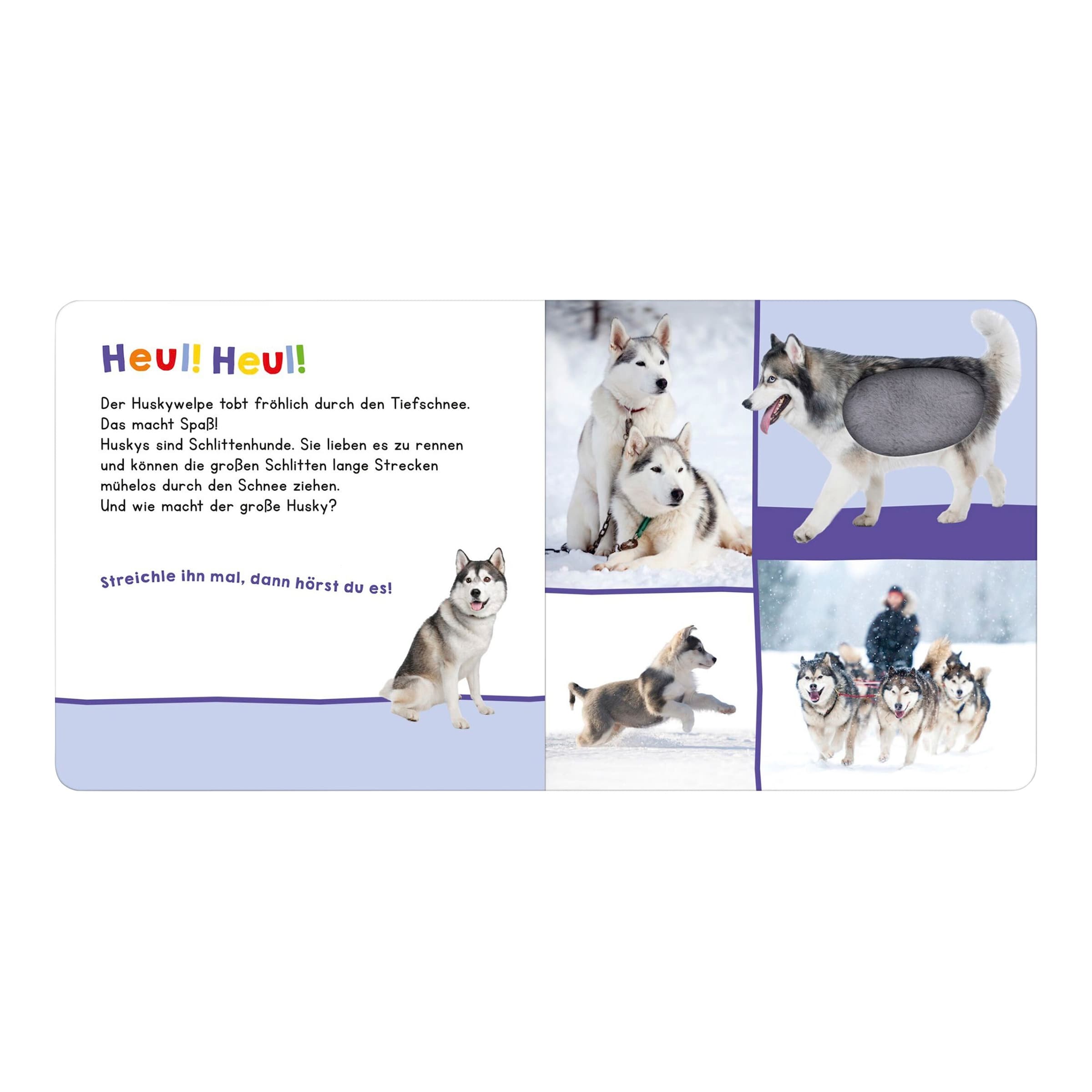 Soundbilderbuch Hör mal rein, wer kann das sein? Im Winter: Streicheln und hören