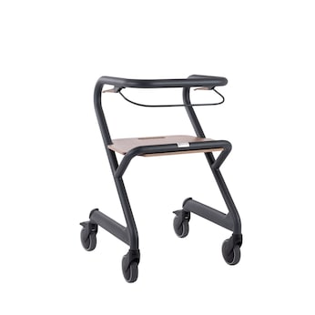 Wohnraumrollator mit Handbremse Velvet Grey