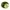 Rassel Raupe mit Vibration PlayQ