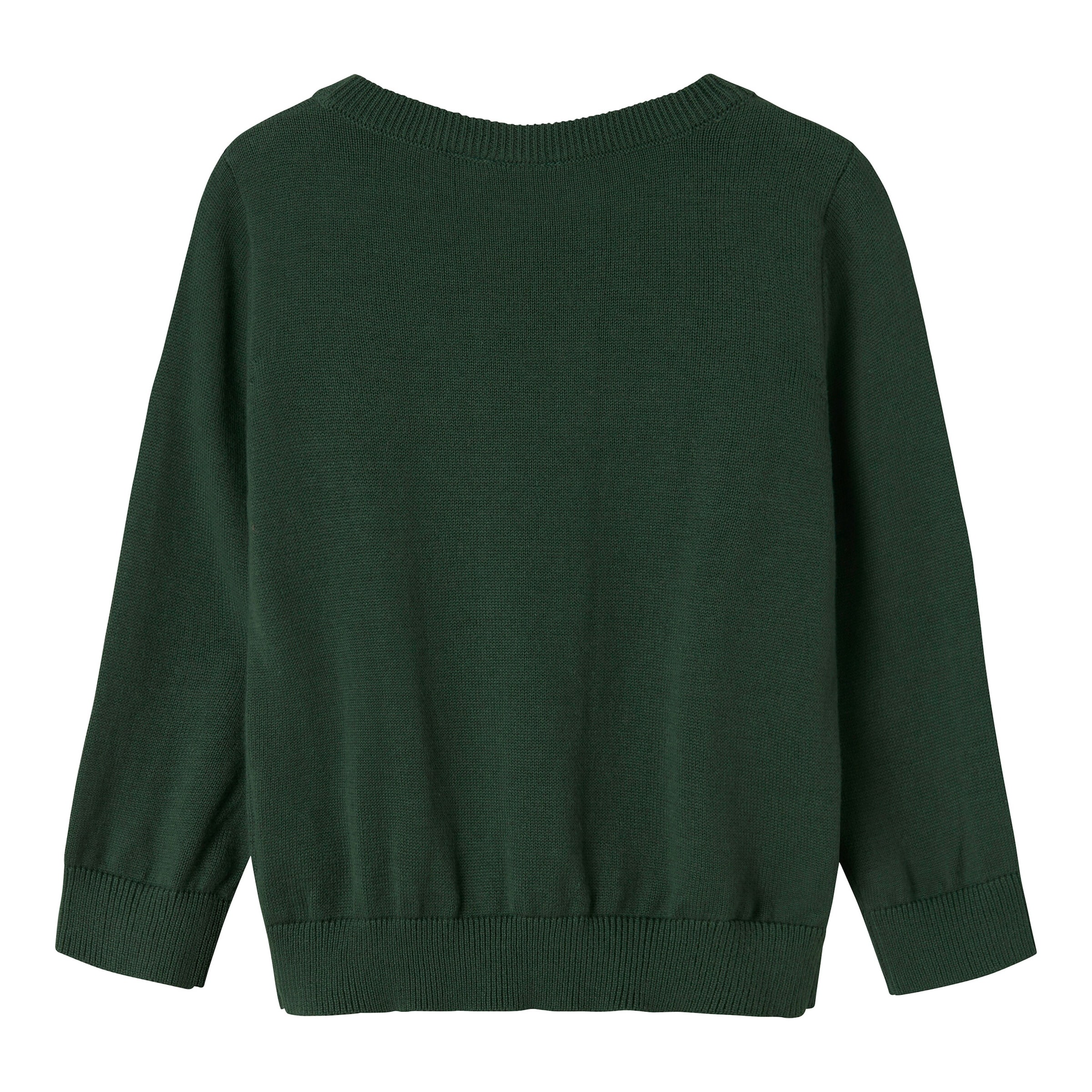 Name It Pullover Dinos