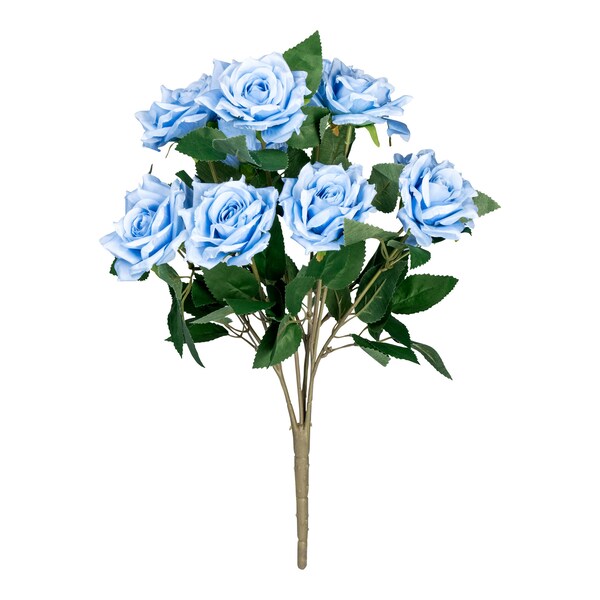 bleu