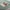 Babydecke Microfaserflausch 75x100 cm 