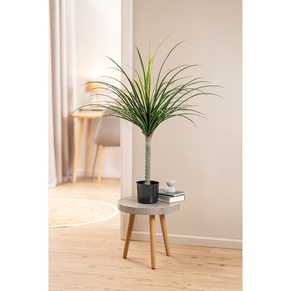 Aperçu du produit 2