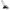 Buggy inkl. Babyzen Textilset