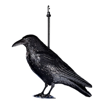 Epouvantail « Corbeau »