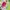 Outdoor Spieltisch 'TINY' Outdoor + mit Spielwanne  Outdoor +