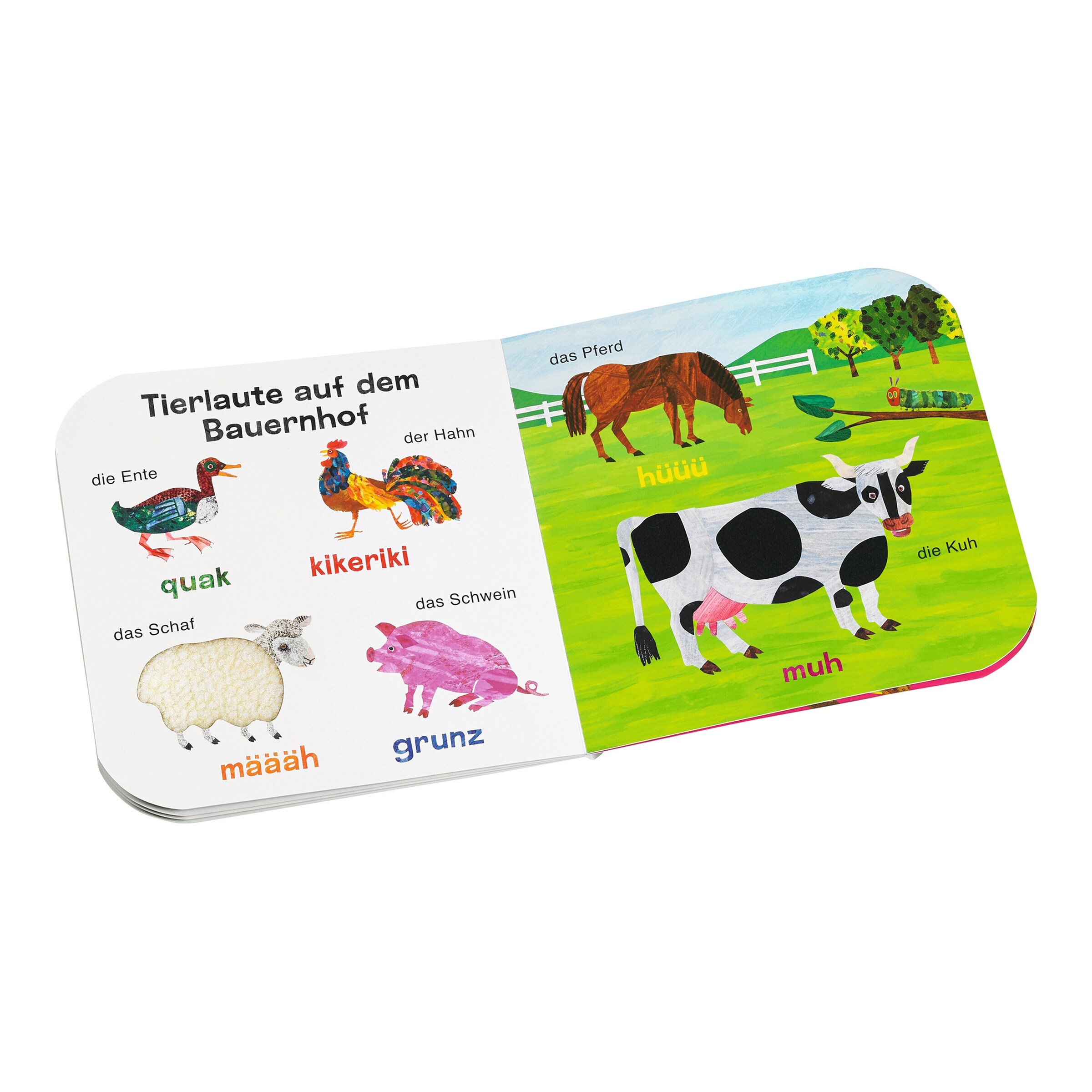 Mein Tier-Fühlbuch Die kleine Raupe Nimmersatt