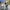 Citybike Sydney 20 Zoll / 24 Zoll